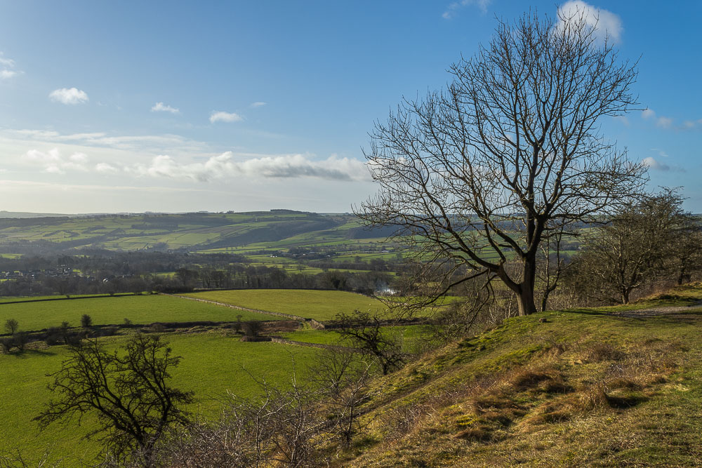 Great Shacklow Wood Great Shacklow Wood
